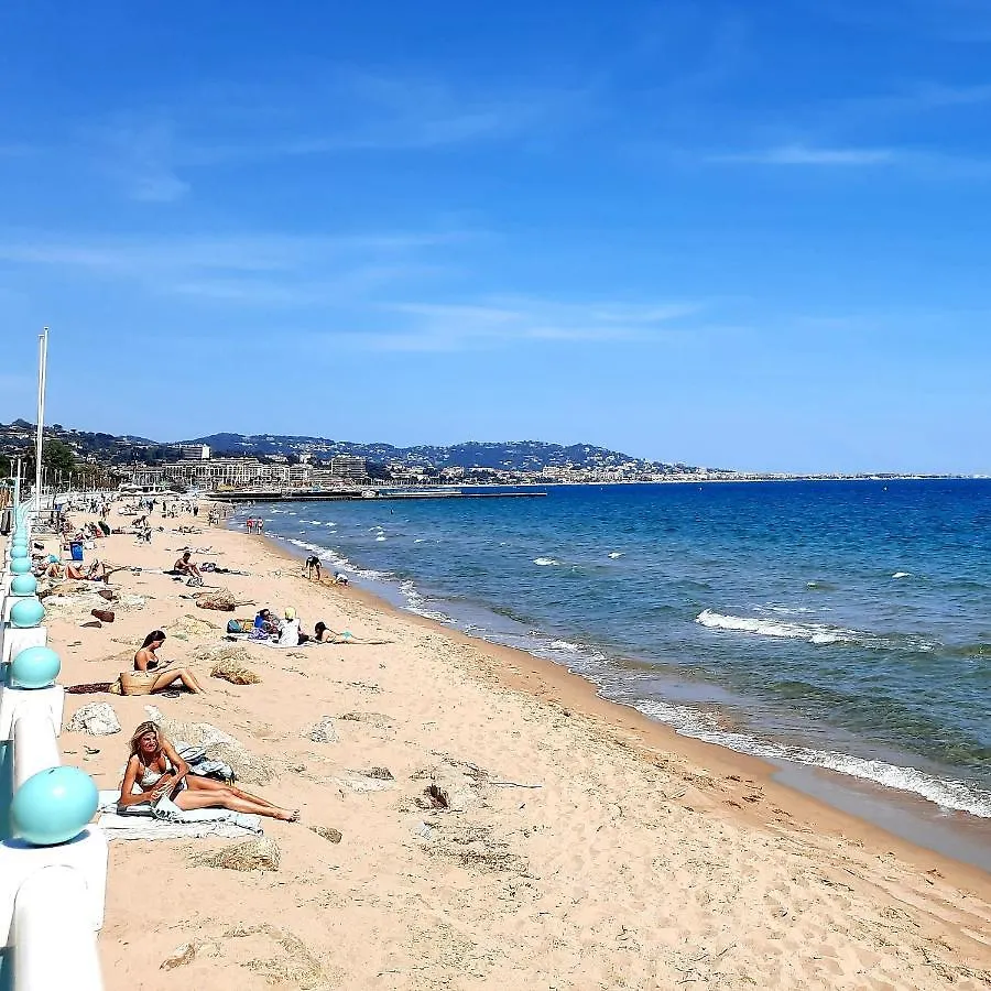 4-Star Beachfront Appartment- Sea View 戛纳 法国